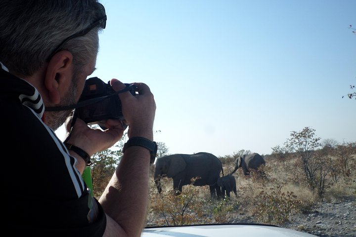 Safari in Etosha national park with professional tour guides born in Etosha.