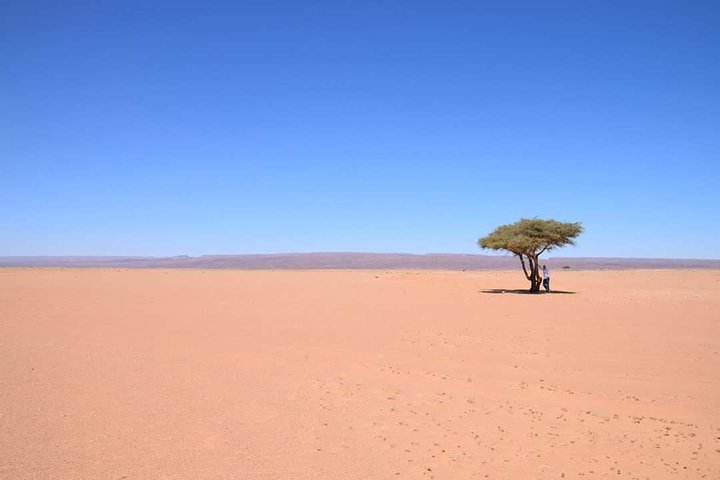 2 Days/1 Night Desert Tour From Mhamid to Erg Chigaga