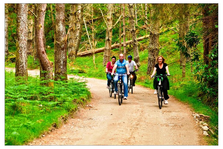 eBiking Westport & Great Western green way. Mayo. Self-guided.