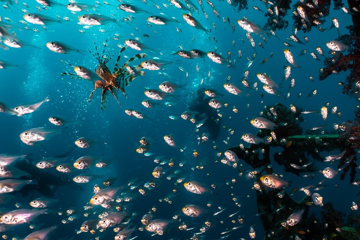 Snorkeling to Undewrater Restaraunt covered by Corals