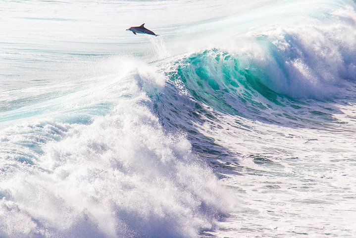 Margaret River ultimate experience for people who don't do tours!
