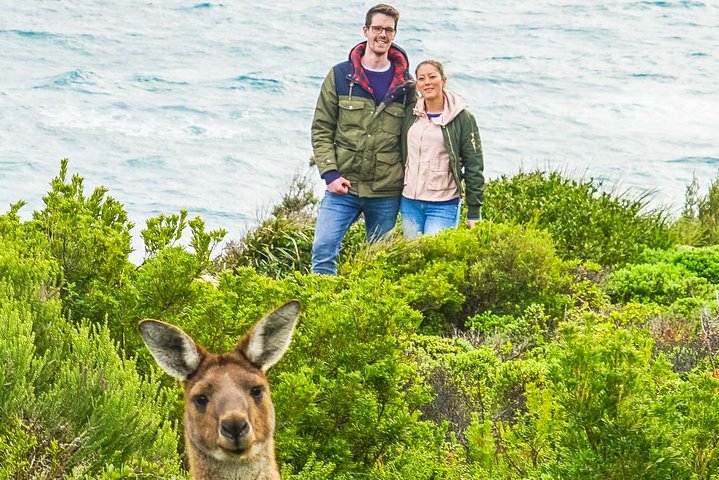 Margaret River ultimate experience for people who don't do tours!