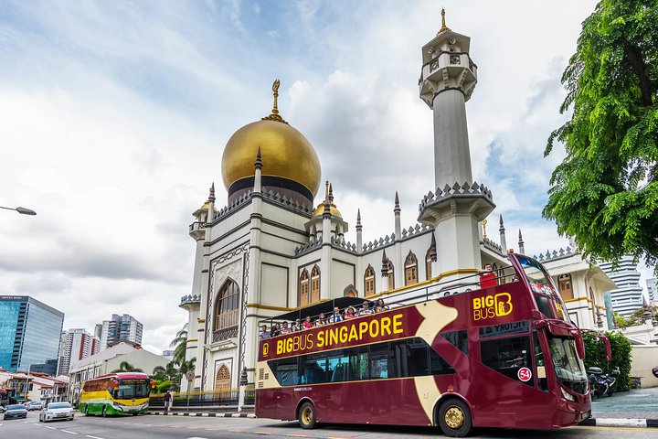 Big Bus Singapore Hop-On Hop-Off Tour