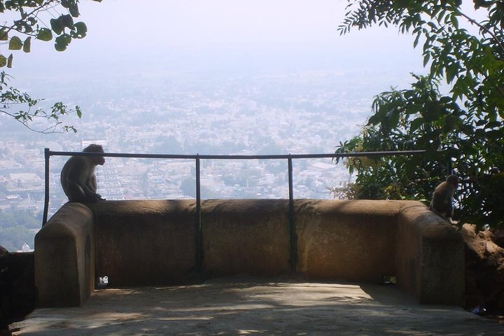 Tiru Arunachala Tours - Tiruvannamalai Tour Guide