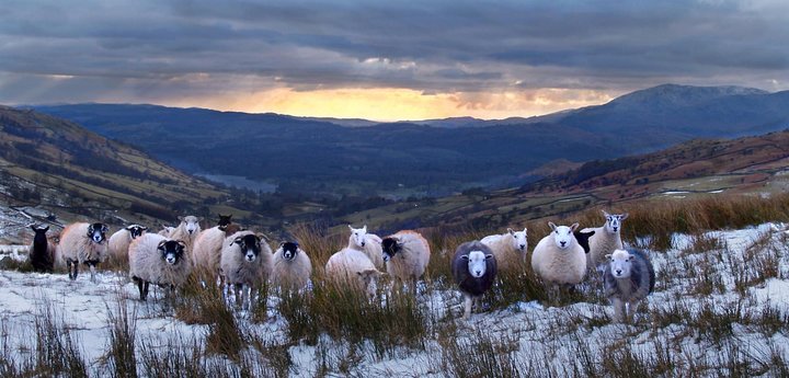 4 hour Private Lake District tour (tour B)