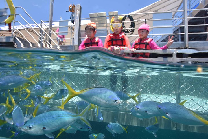 Sunlover Reef Cruises Cairns Great Barrier Reef Experience