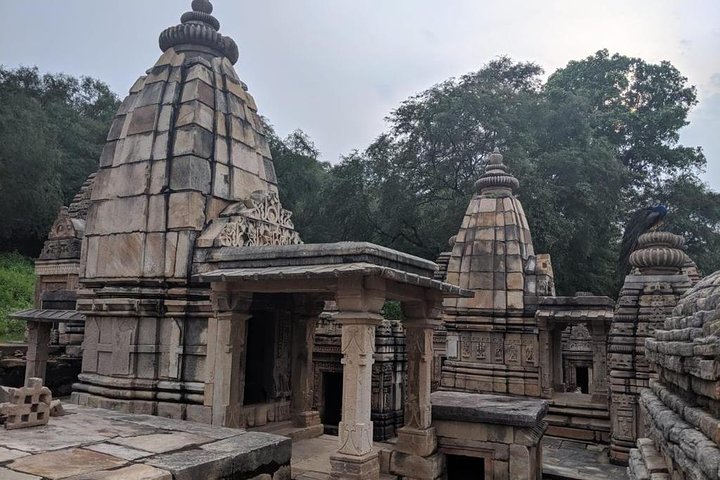 Mitawali, Padavali & Bateshwar Tour