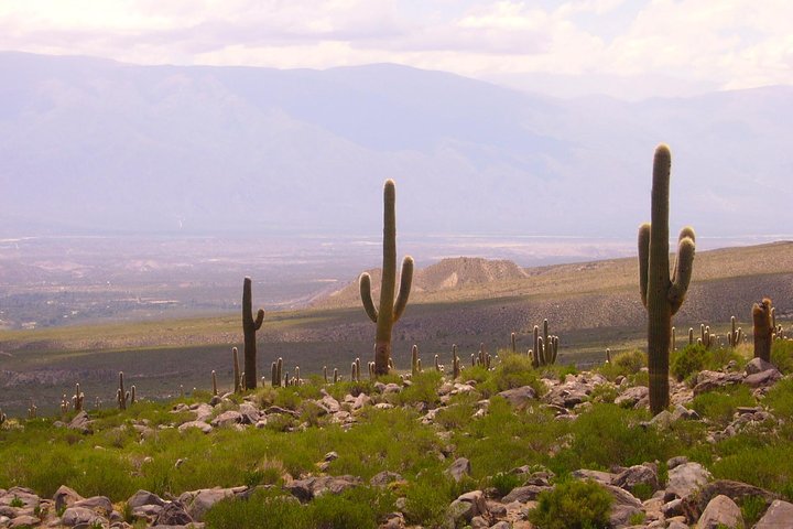 Discover Tafi del Valle: Guided Journey