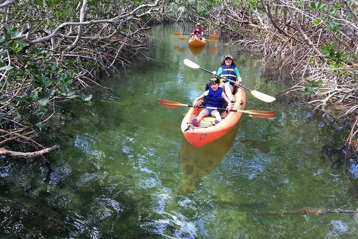 Mangroves and Manatees - Guided Kayak Eco Tour
