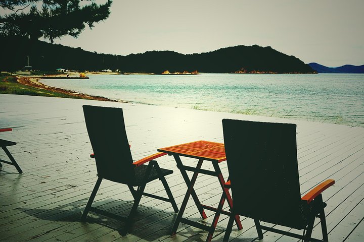 Naoshima private tour by national licensed tourguide