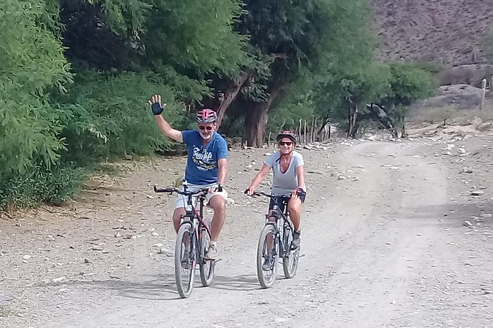 Bicycle rides