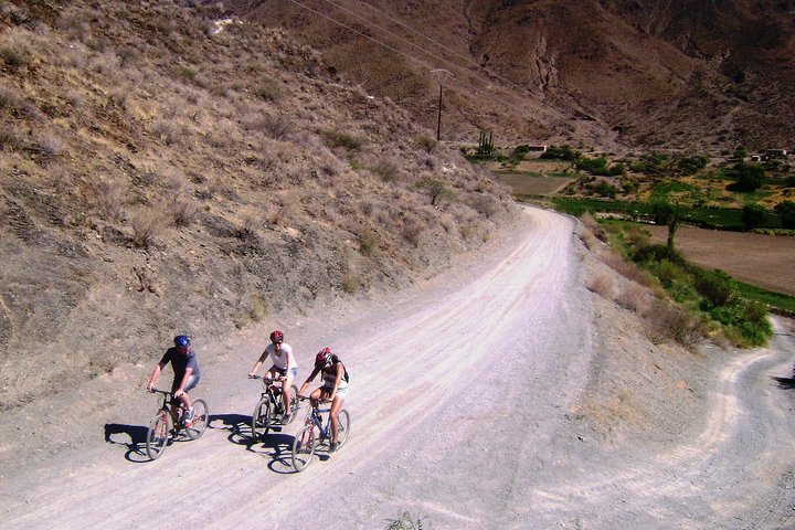Bicycle rides