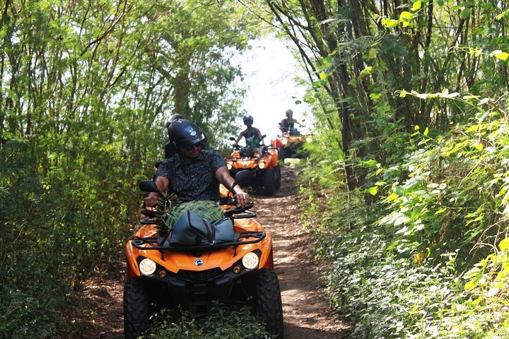 Bora Bora by ATV or QUAD and Vanilla Experience