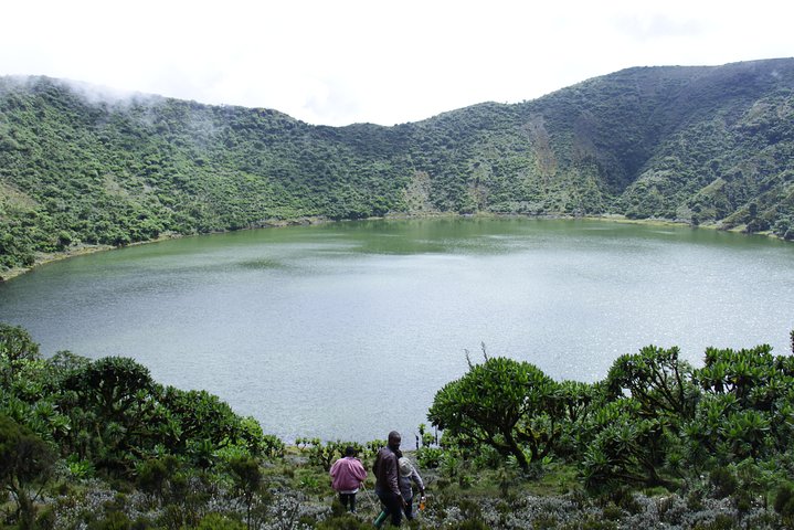 1 Day Rwanda Gorilla Trekking Tour In The Volcanoes National Park
