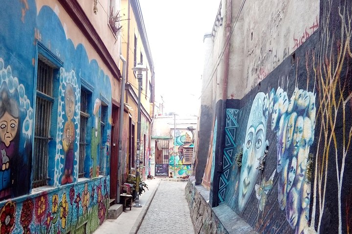 Tour in Valparaiso: Street Art, funiculars and port