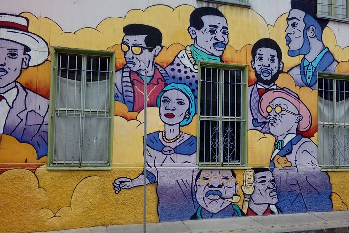 Tour in Valparaiso: Street Art, funiculars and port