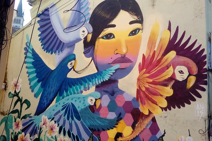Tour in Valparaiso: Street Art, funiculars and port