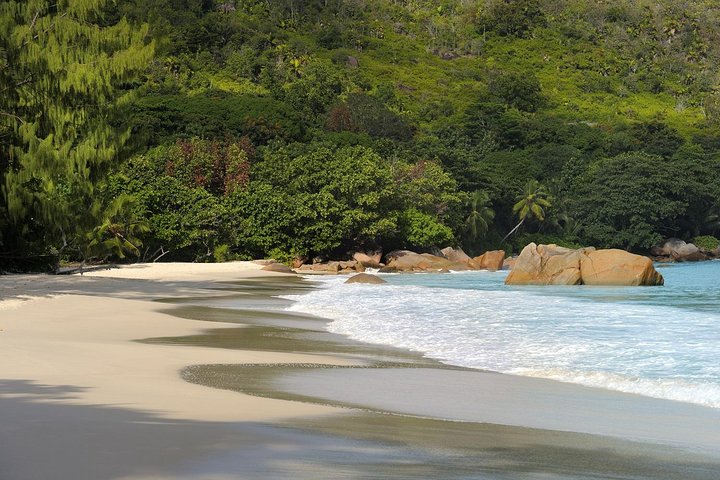 Full Day Discovery Tour of Vallee de Mai and Anse Lazio on Praslin Island