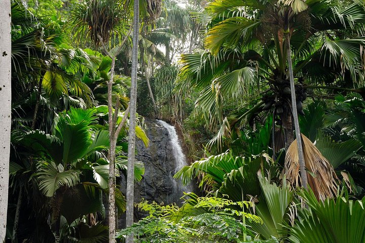 Full Day Discovery Tour of Vallee de Mai and Anse Lazio on Praslin Island