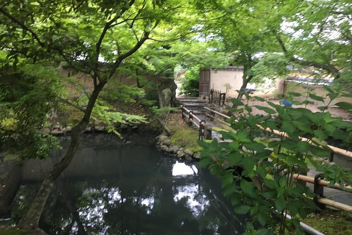 Nara Half Day Trip Walking Tour (Private Option Available)