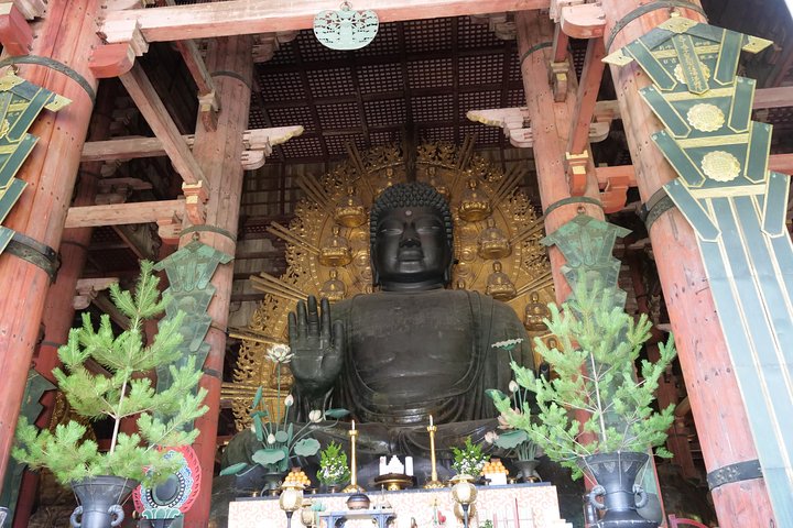 Nara Half Day Trip Walking Tour (Private Option Available)