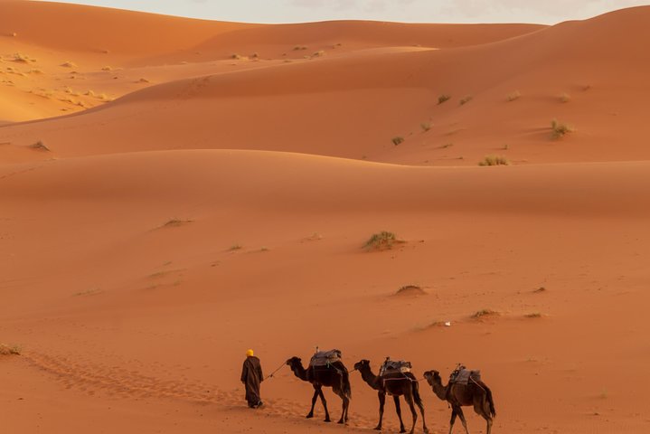 Trip From Erfoud To Merzouga Desert, Dinner, Camel Ride, Sunset