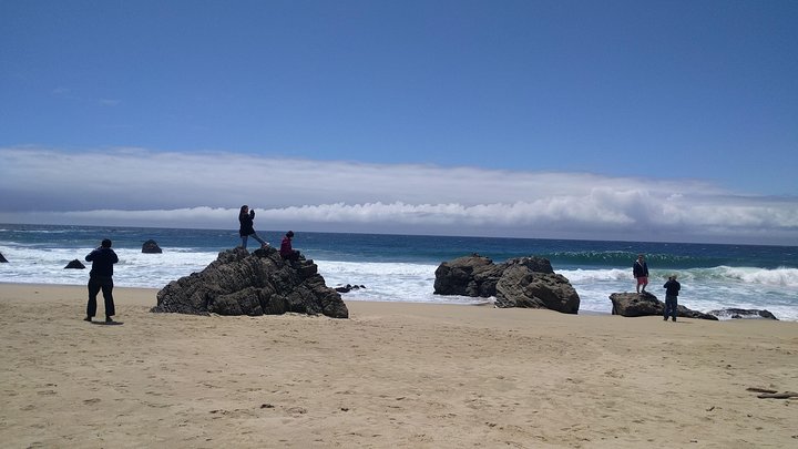 Monterey, Carmel and Big Sur private Day Trip from San Francisco