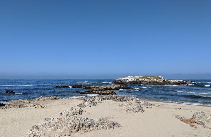 Monterey, Carmel and Big Sur private Day Trip from San Francisco