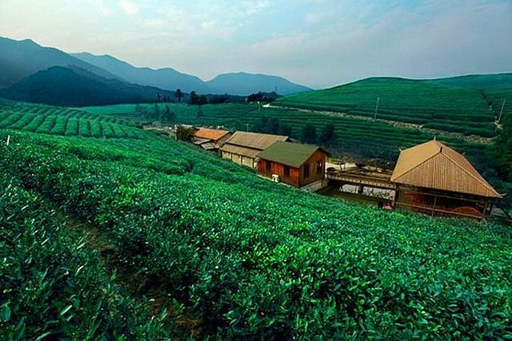 4-Hour Hangzhou City Private Customized Tour with Options