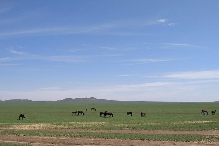 4D3N Huitengxile Grassland Wulanhada volcano Kubuqi Desert Tours