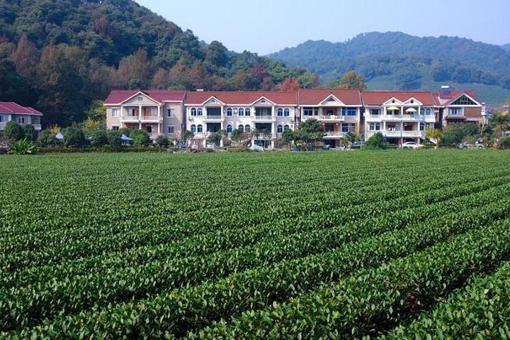 Hangzhou Private Flexible Day Tour with West Lake Boat Cruise