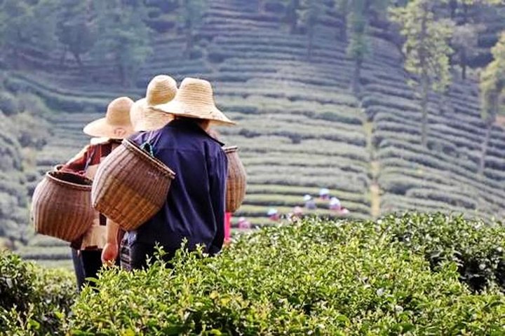 Hangzhou Private Flexible Day Tour with West Lake Boat Cruise