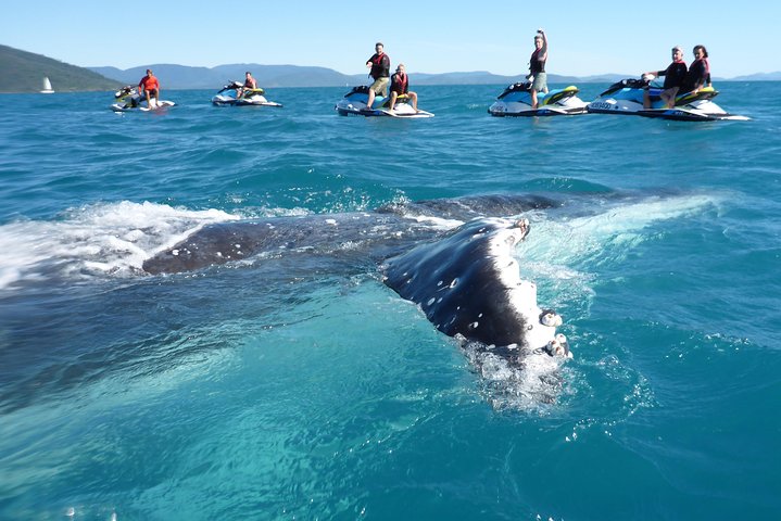 Whitsundays Guided Jet Ski Tour