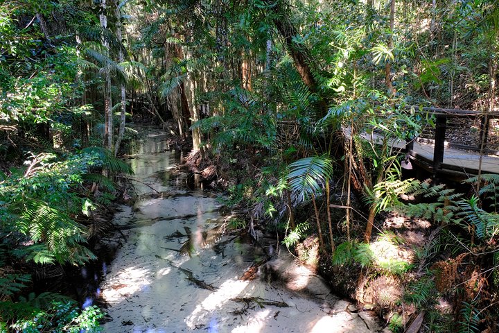 K'gari (Fraser Island) Day Tour - From Rainbow Beach