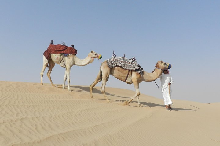 Dubai Desert Safari Dune Bashing, 60min ATV Quad, Camel Ride, BBQ