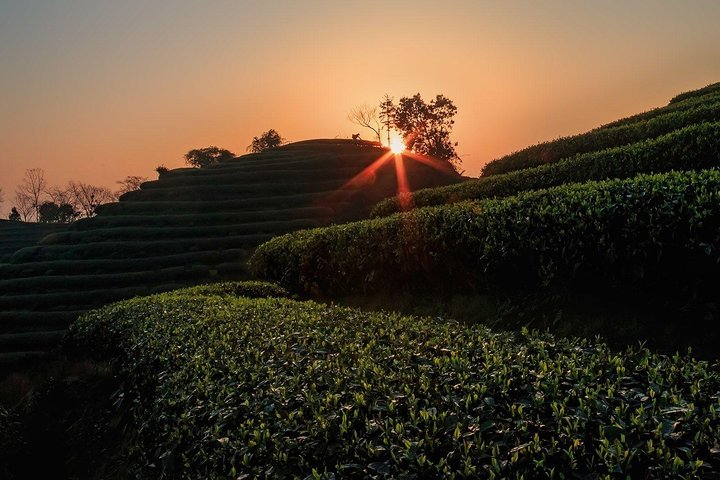 Private Full Day Tour : Customizable Hangzhou City Highlights with Multi Options
