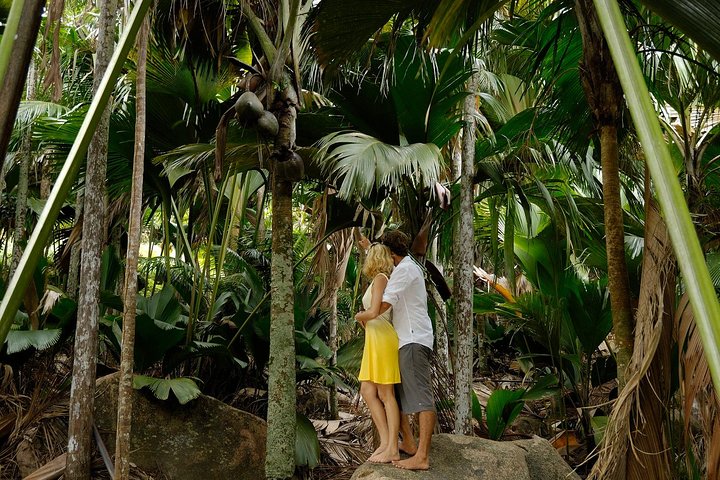 Full Day Discovery Tour of Vallee de Mai and Anse Lazio on Praslin Island