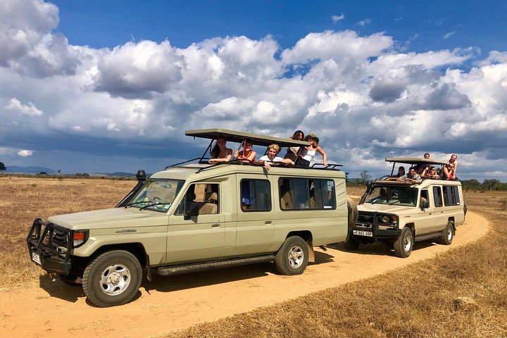 3 Days 2 Nights Adventures At Mikumi National Park
