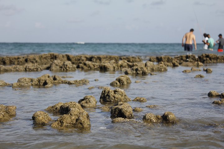 Porto de Galinhas Day Trip