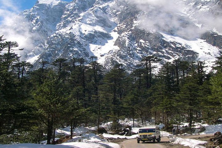 Excursion to North Sikkim Lachen and Lachung 6 Days