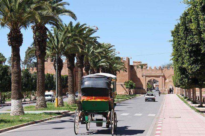 Marrakech Guided Day Trip from Agadir: Medina & Souks Tour