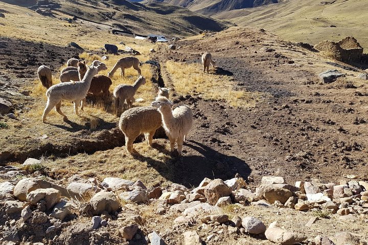 Saturday Hikes (Group Departures)