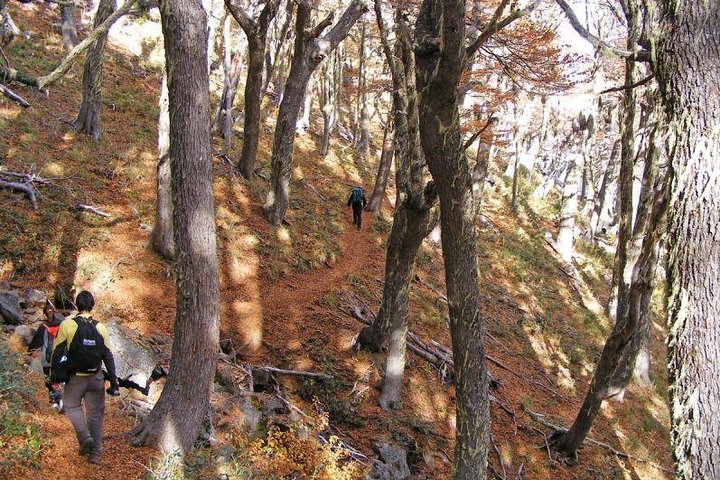 Discover Colorado Volcano: Guided Adventure