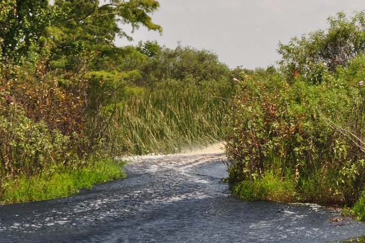 90 minute Everglades Airboat Tour near Orlando Florida