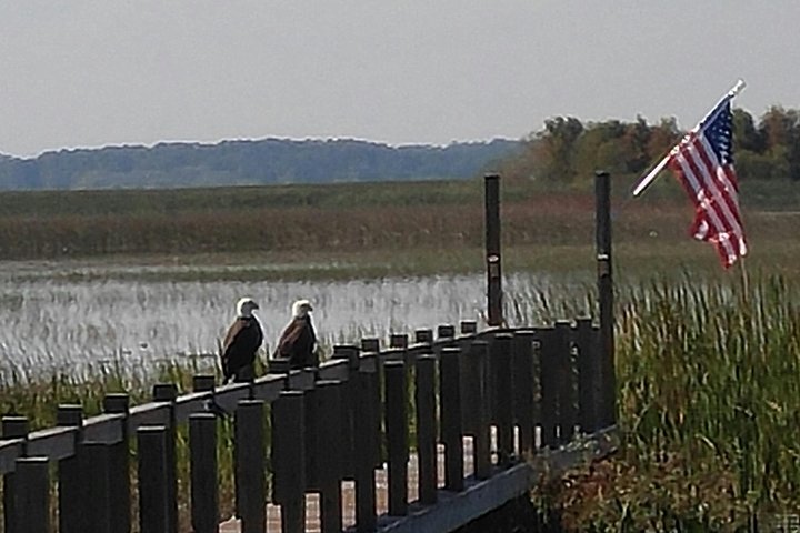 90 minute Everglades Airboat Tour near Orlando Florida