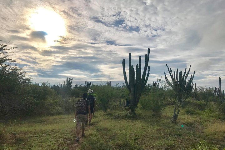 Discover the Tatacoa Desert with a Local