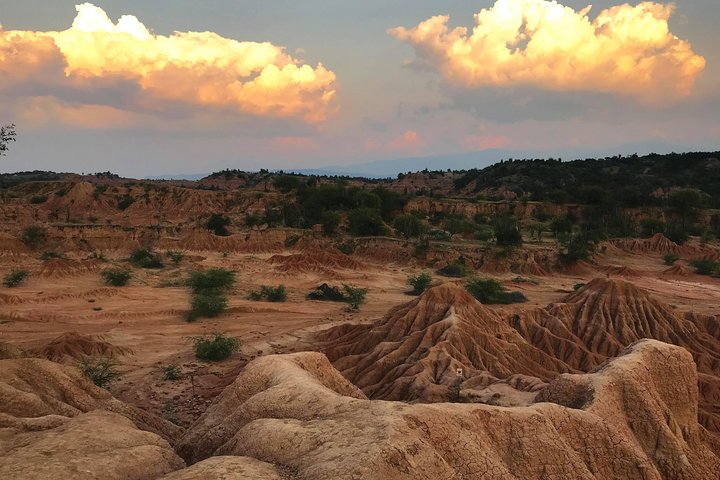 Discover the Tatacoa Desert with a Local