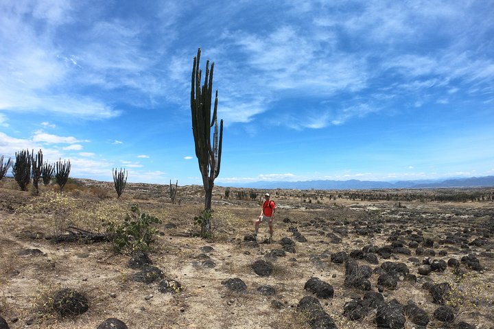Discover the Tatacoa Desert with a Local