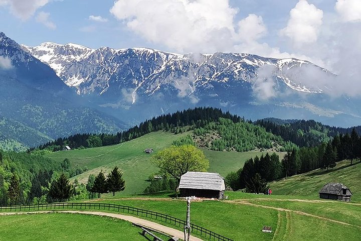 4x4 Nature Tour in Land of Dracula - 1 day