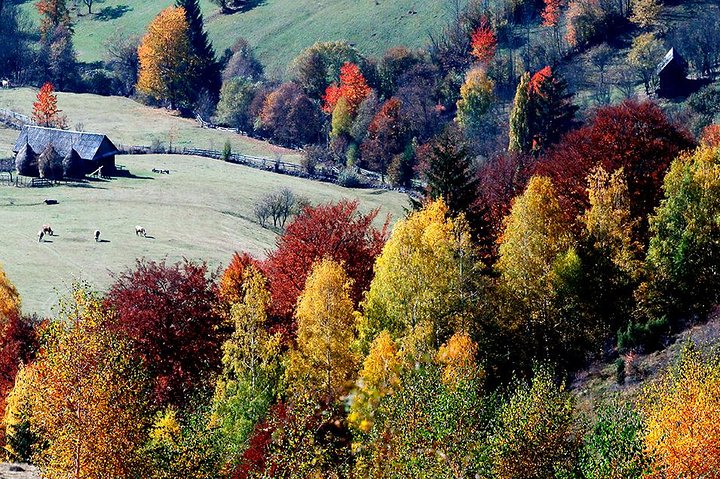 4x4 Nature Tour in Land of Dracula - 1 day